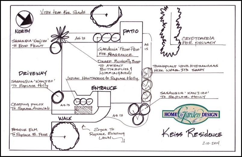 Landscape design sketch